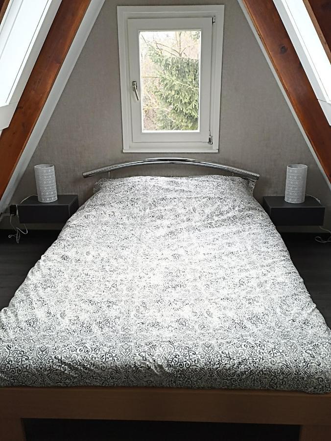 Bungalow Sud-Harz Bleicherode Onder 外观 照片